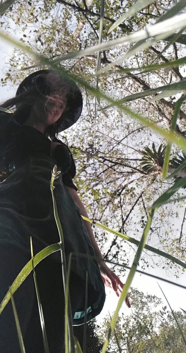 Michela from the ground looking up