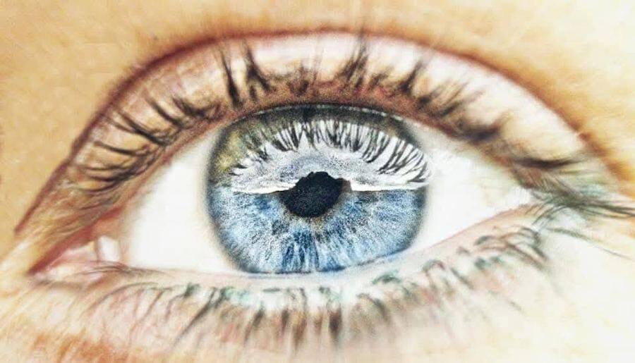 The seeing eye — Viaggia Con Me