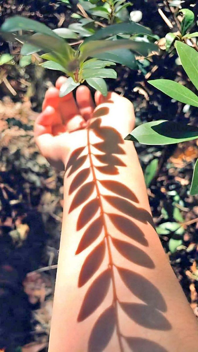Arm with leaf shadow — nature symbols