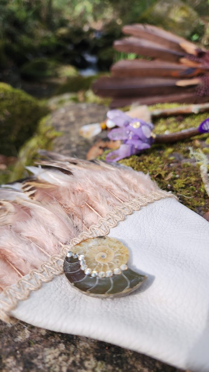 Feather fan ammonite detail